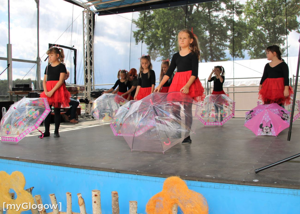 Piknik 800+ w Sławie
