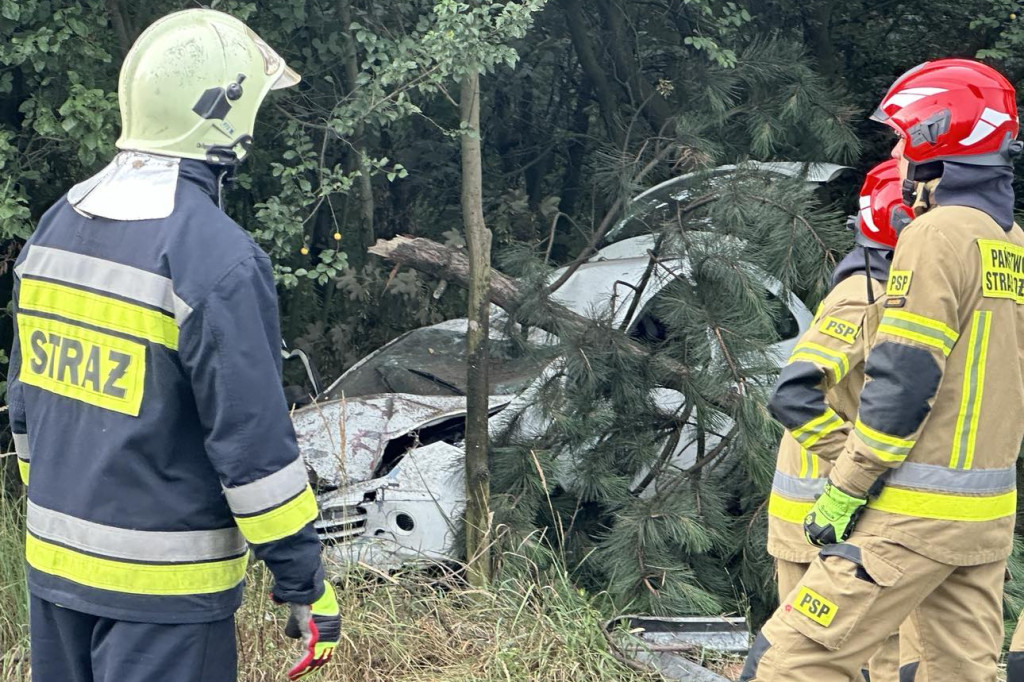 Wypadek w Cebrze. Auto wypadło z drogi