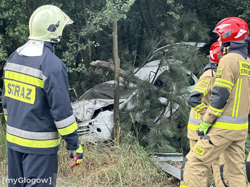 Wypadek w Cebrze. Auto wypadło z drogi