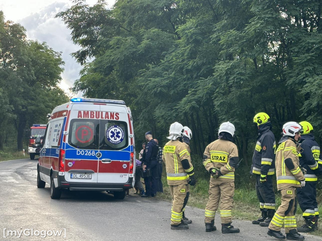 Wypadek w Cebrze. Auto wypadło z drogi