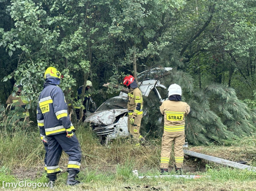 Wypadek w Cebrze. Auto wypadło z drogi