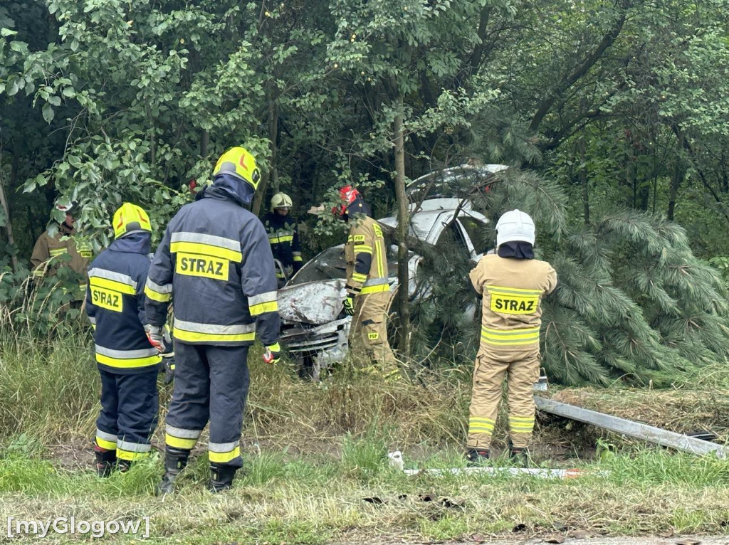 Wypadek w Cebrze. Auto wypadło z drogi