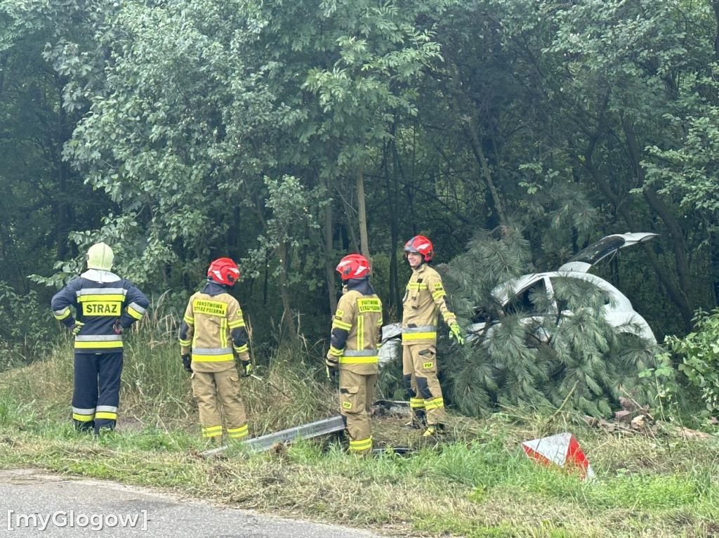 Wypadek w Cebrze. Auto wypadło z drogi