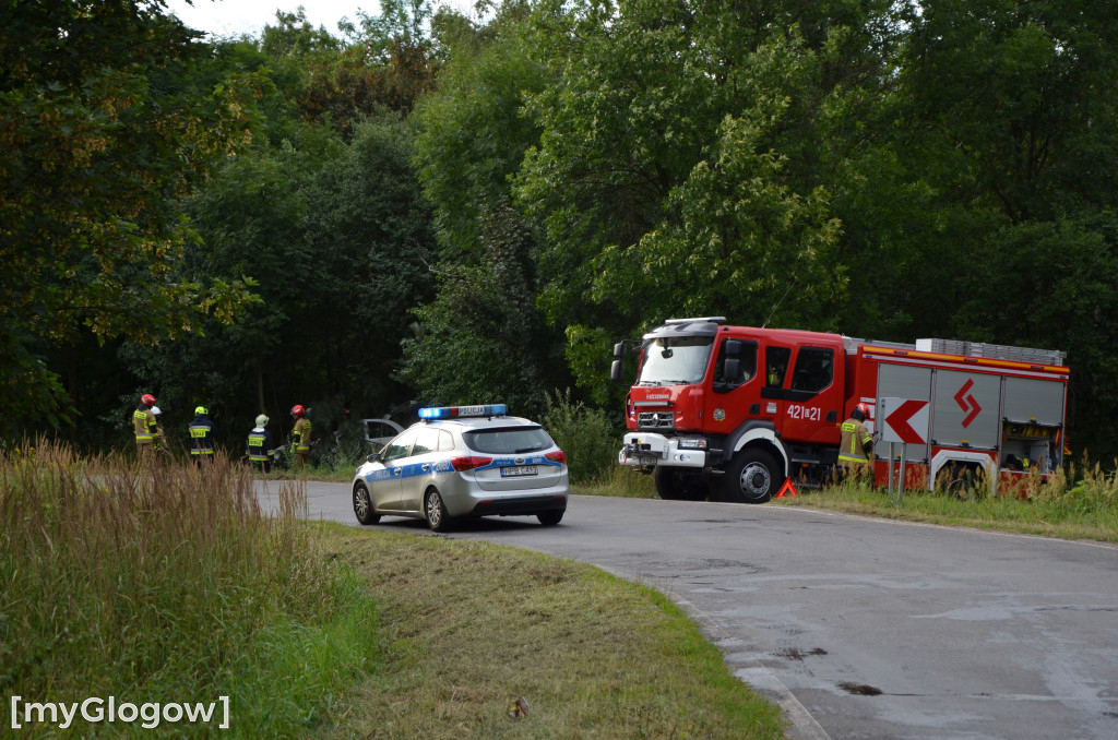 Wypadek w Cebrze. Auto wypadło z drogi