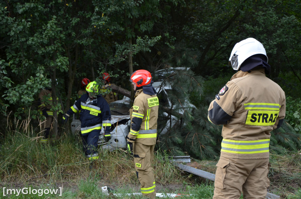 Wypadek w Cebrze. Auto wypadło z drogi