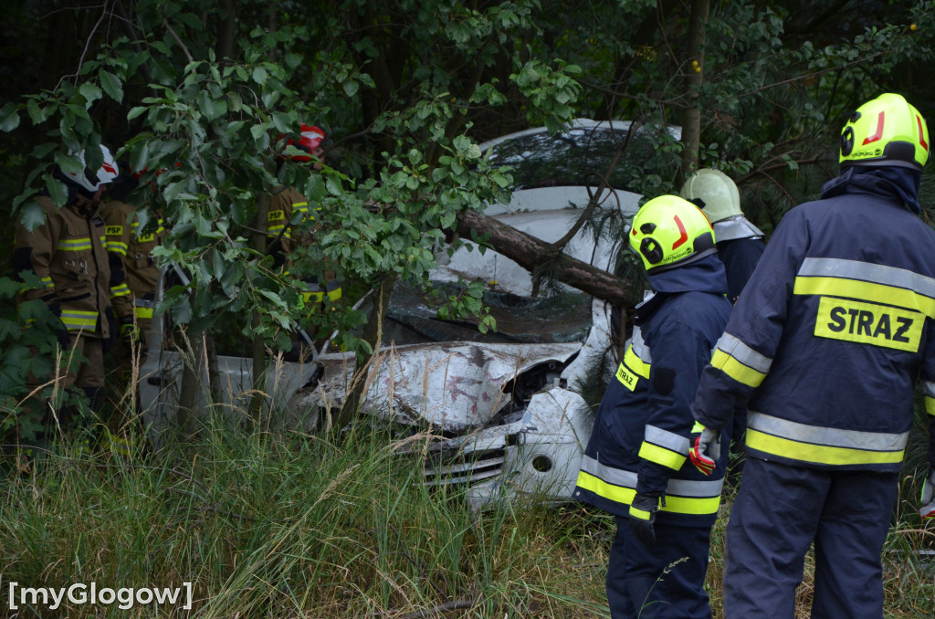 Wypadek w Cebrze. Auto wypadło z drogi