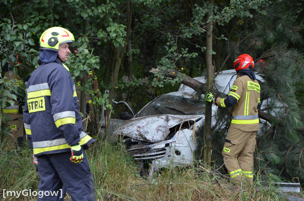Wypadek w Cebrze. Auto wypadło z drogi