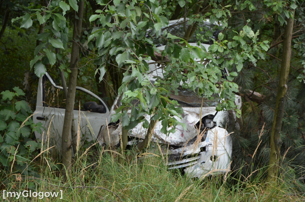 Wypadek w Cebrze. Auto wypadło z drogi