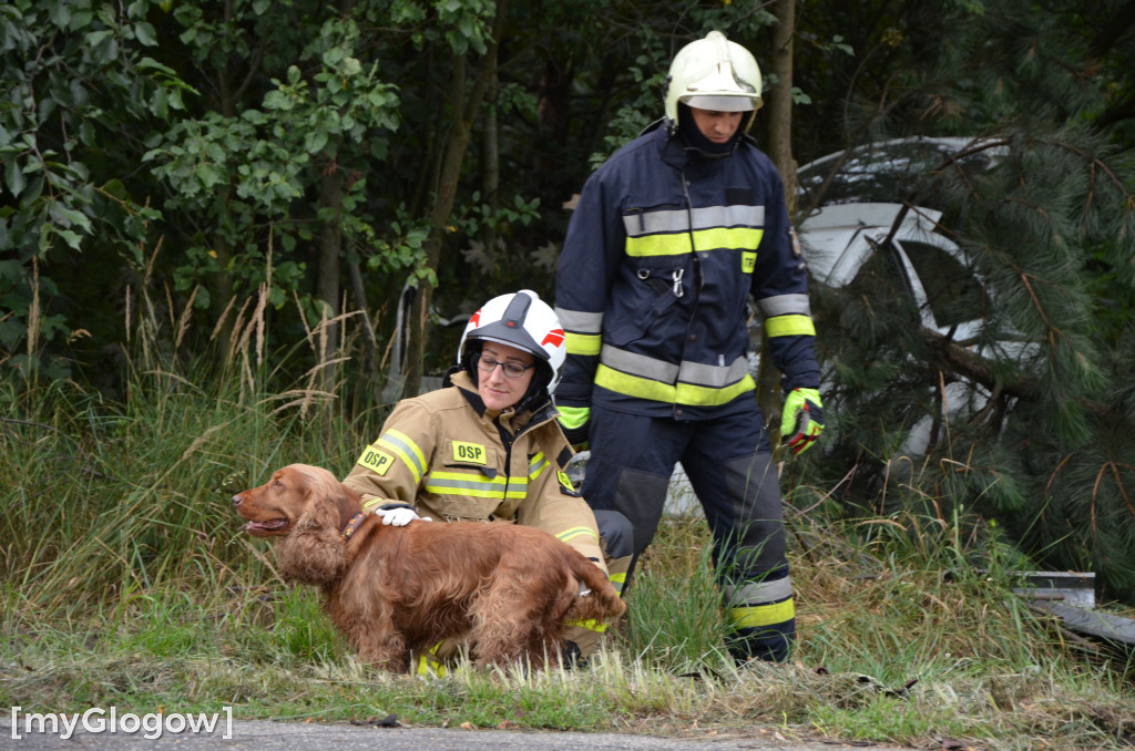 Wypadek w Cebrze. Auto wypadło z drogi