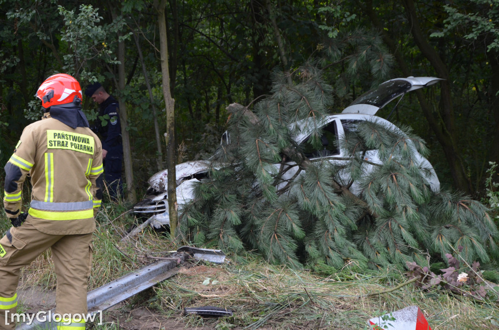 Wypadek w Cebrze. Auto wypadło z drogi