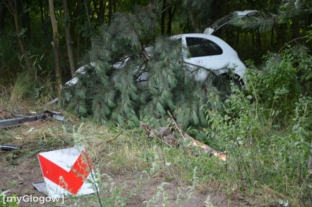 Wypadek w Cebrze. Auto wypadło z drogi