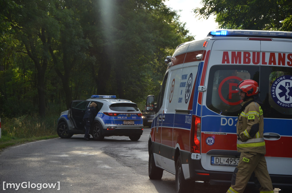Wypadek w Cebrze. Auto wypadło z drogi
