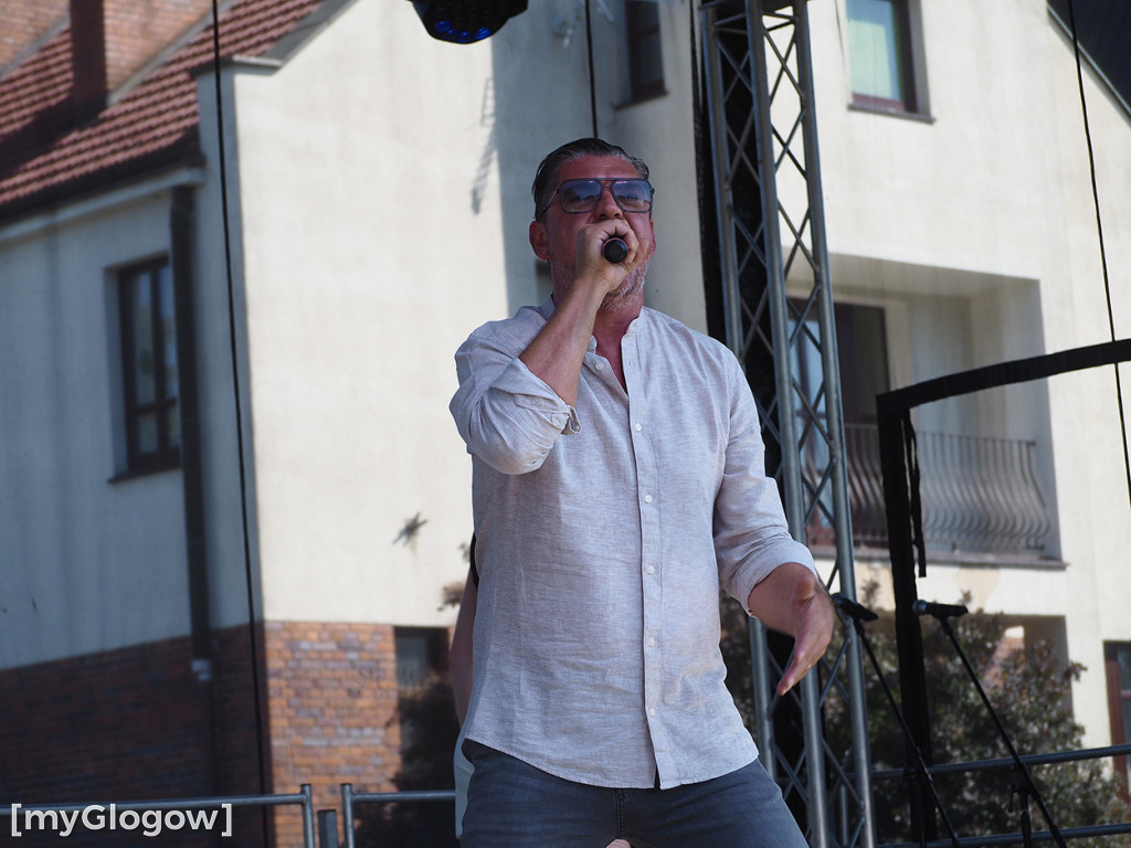 Danzel w cieniu kolegiaty