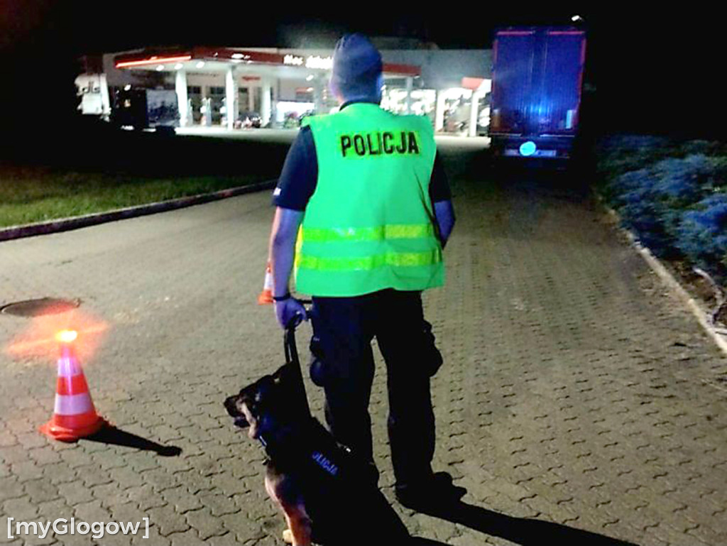 Stop kradzieżom i włamaniom w Głogowie