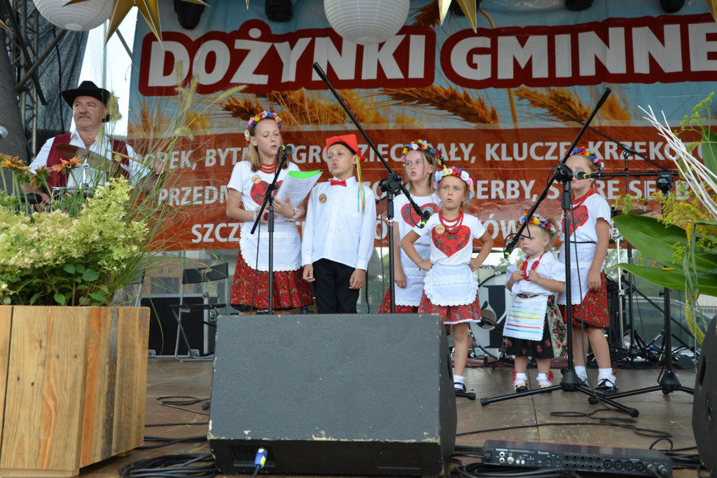 Dożynki gminy Głogów. Trwa zabawa w Wilkowie