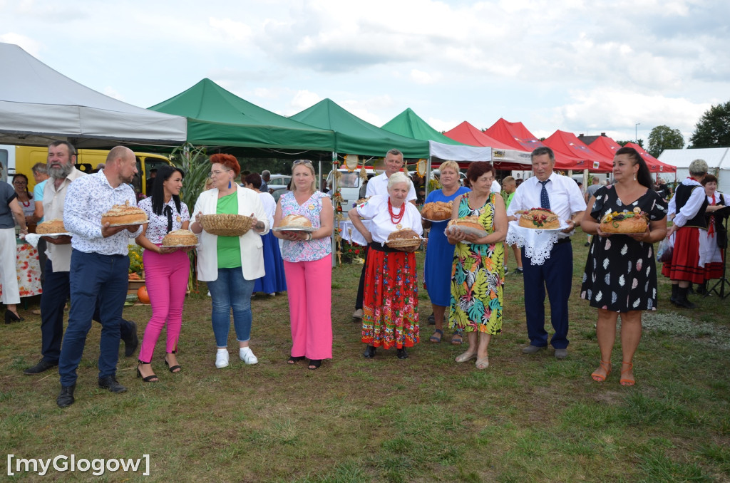 Dożynki gminy Głogów. Trwa zabawa w Wilkowie