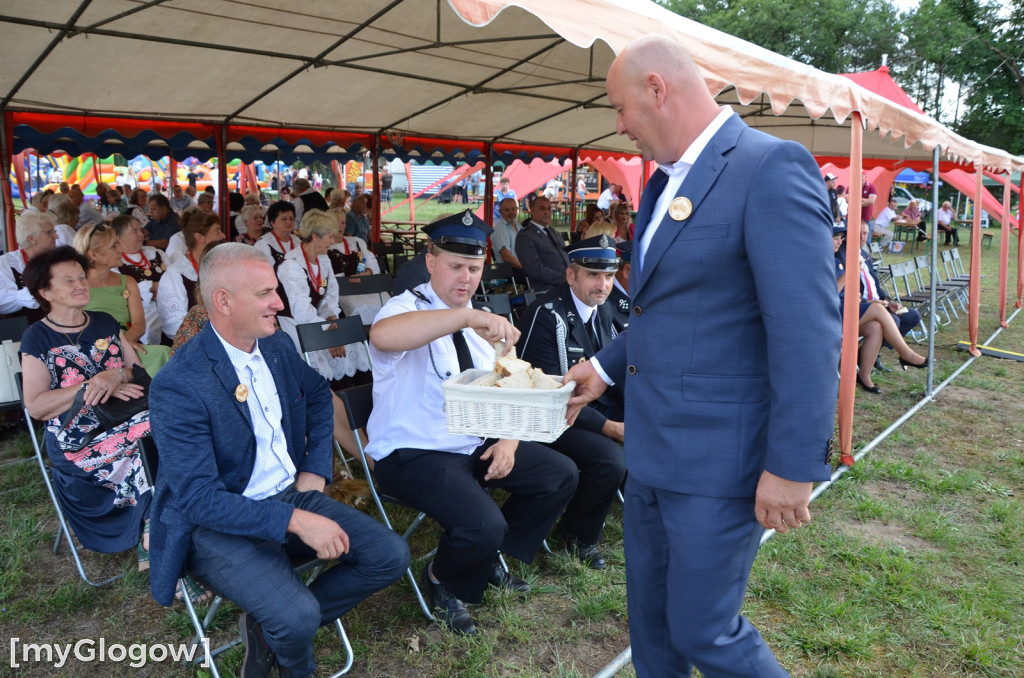 Dożynki gminy Głogów. Trwa zabawa w Wilkowie