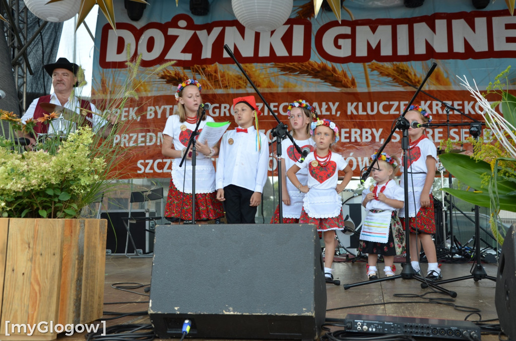 Dożynki gminy Głogów. Trwa zabawa w Wilkowie