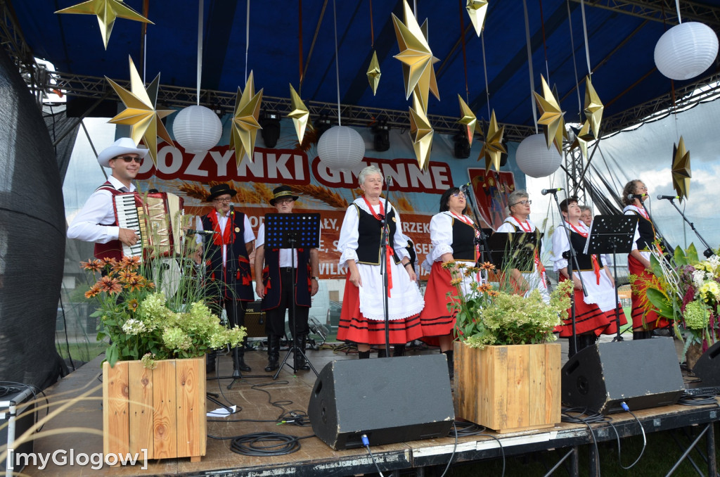 Dożynki gminy Głogów. Trwa zabawa w Wilkowie