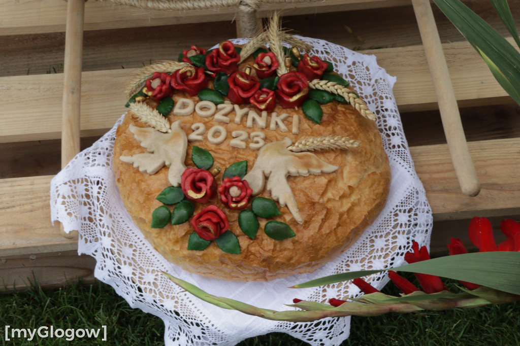 Dożynki gminy Jerzmanowa w Łagoszowie Małym