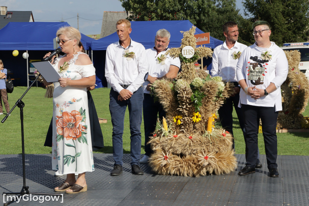 Dożynki gminy Jerzmanowa w Łagoszowie Małym