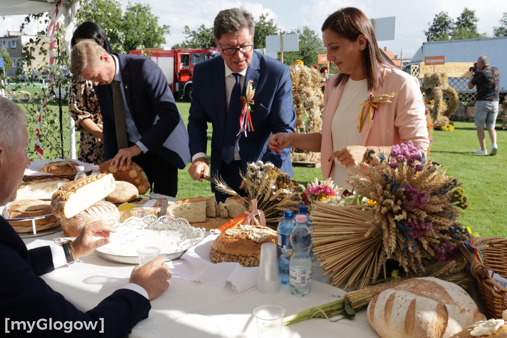 Dożynki gminy Jerzmanowa w Łagoszowie Małym