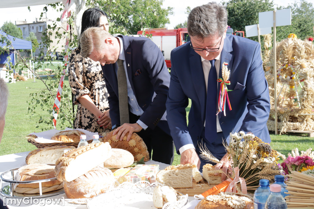 Dożynki gminy Jerzmanowa w Łagoszowie Małym