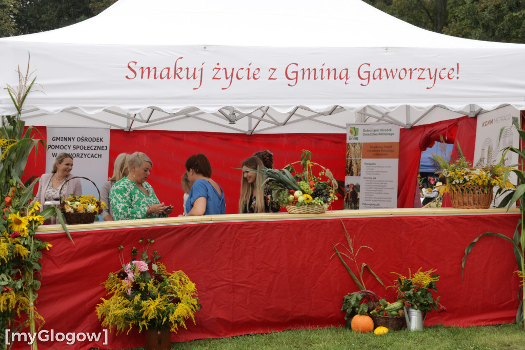 Dożynki gminne w Gaworzycach