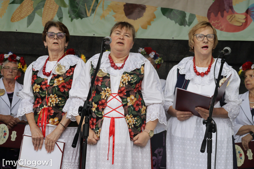Dożynki gminne w Gaworzycach