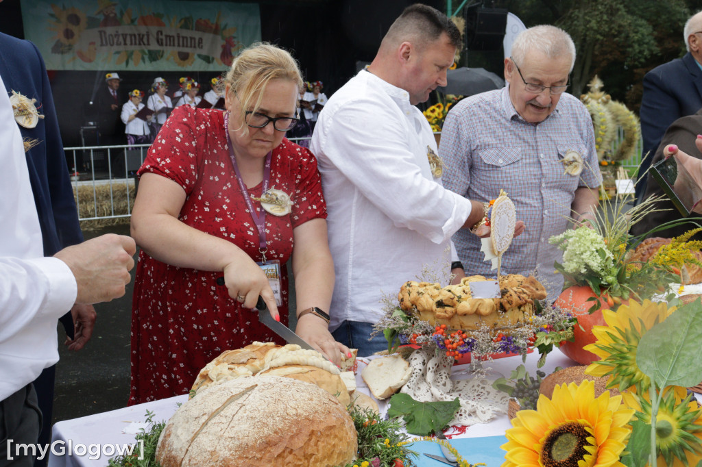 Dożynki gminne w Gaworzycach