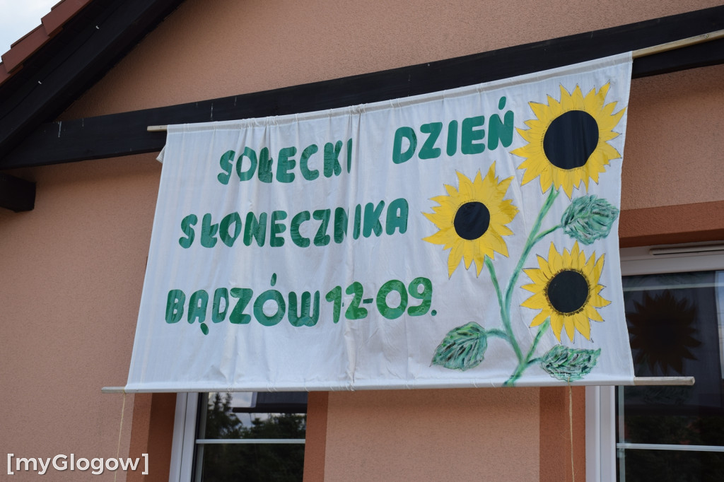 Sołecki dzień słonecznika w Bądzowie