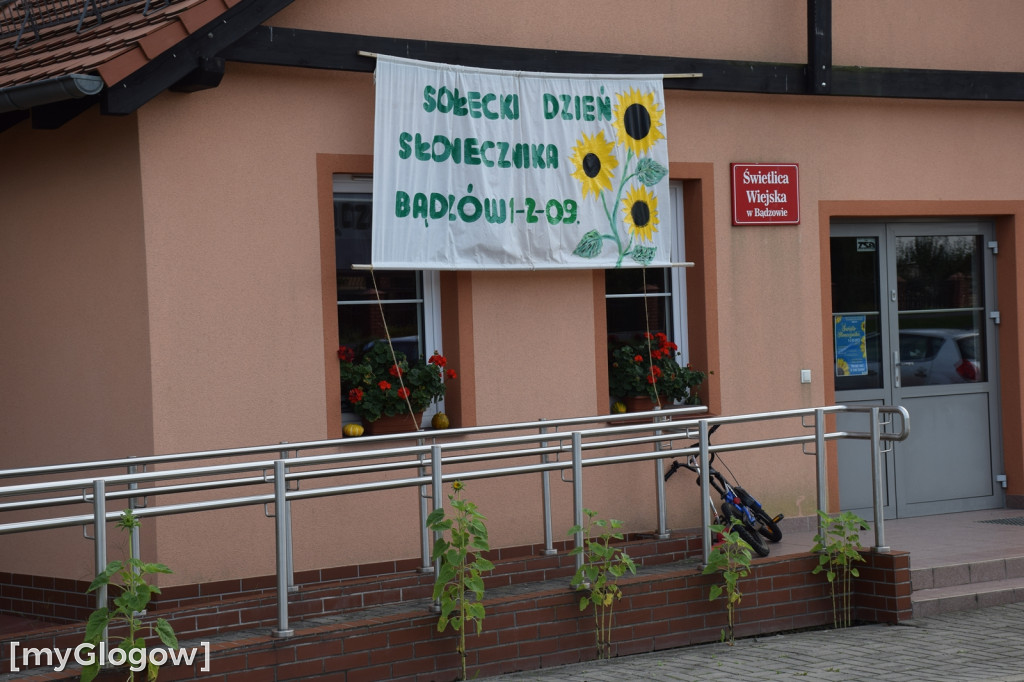 Sołecki dzień słonecznika w Bądzowie