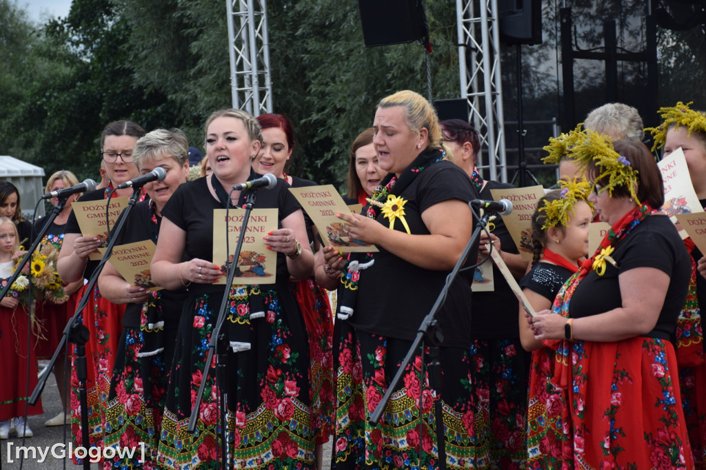 Dożynki gminy Żukowice w Nielubi
