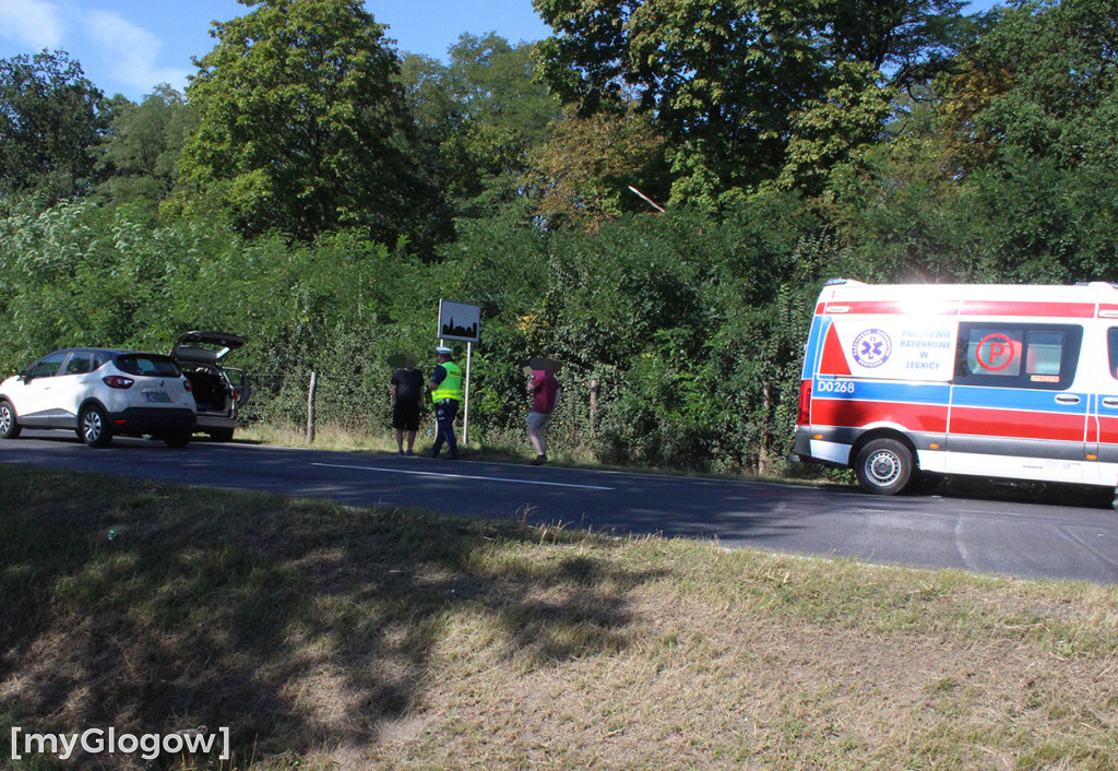 Kolizja w Serbach pod Głogowem. Noga z gazu
