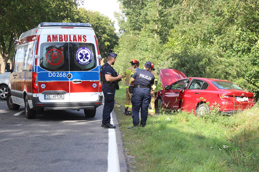 Wypadek na DW 319. Dojechać można do krzyżówki