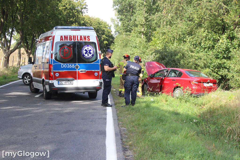Wypadek na DW 319. Dojechać można do krzyżówki