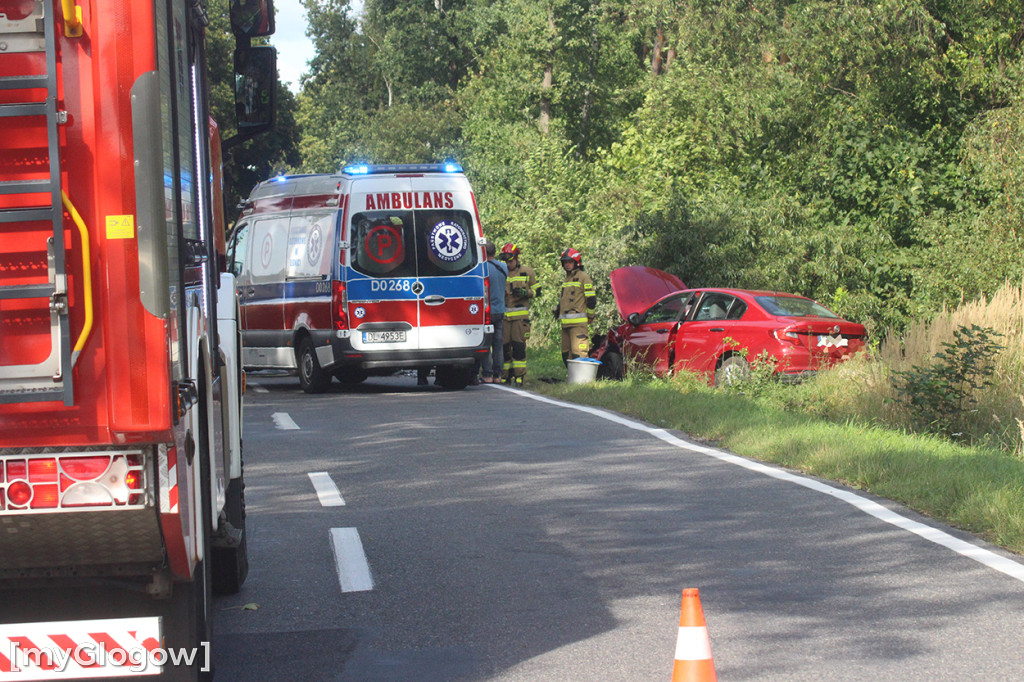 Wypadek na DW 319. Dojechać można do krzyżówki