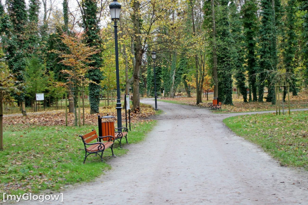 Pięknieje park miejski w Sławie