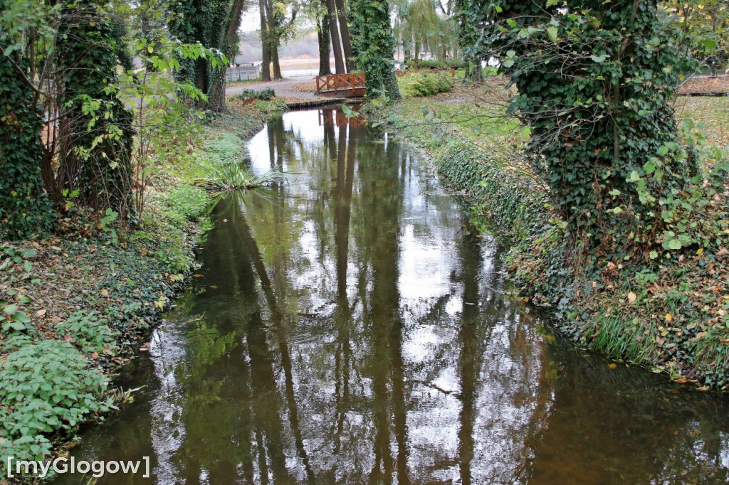 Pięknieje park miejski w Sławie
