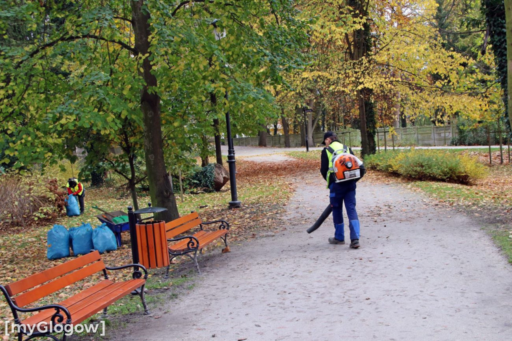 Pięknieje park miejski w Sławie
