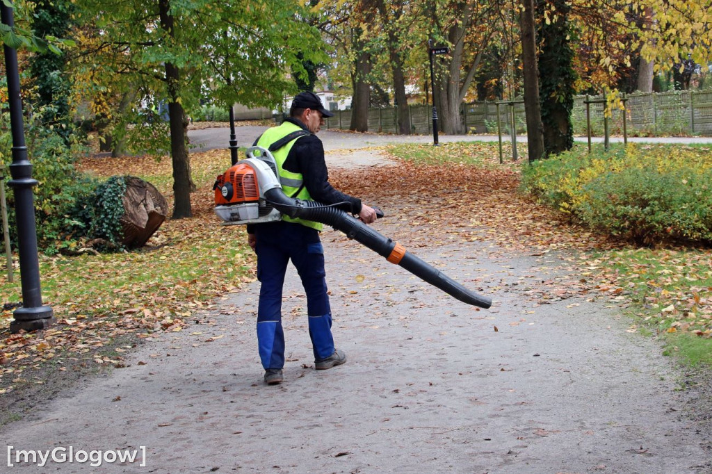 Pięknieje park miejski w Sławie