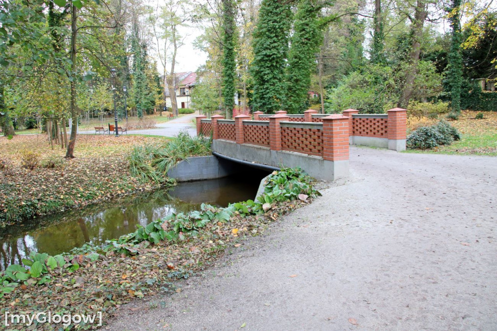 Pięknieje park miejski w Sławie