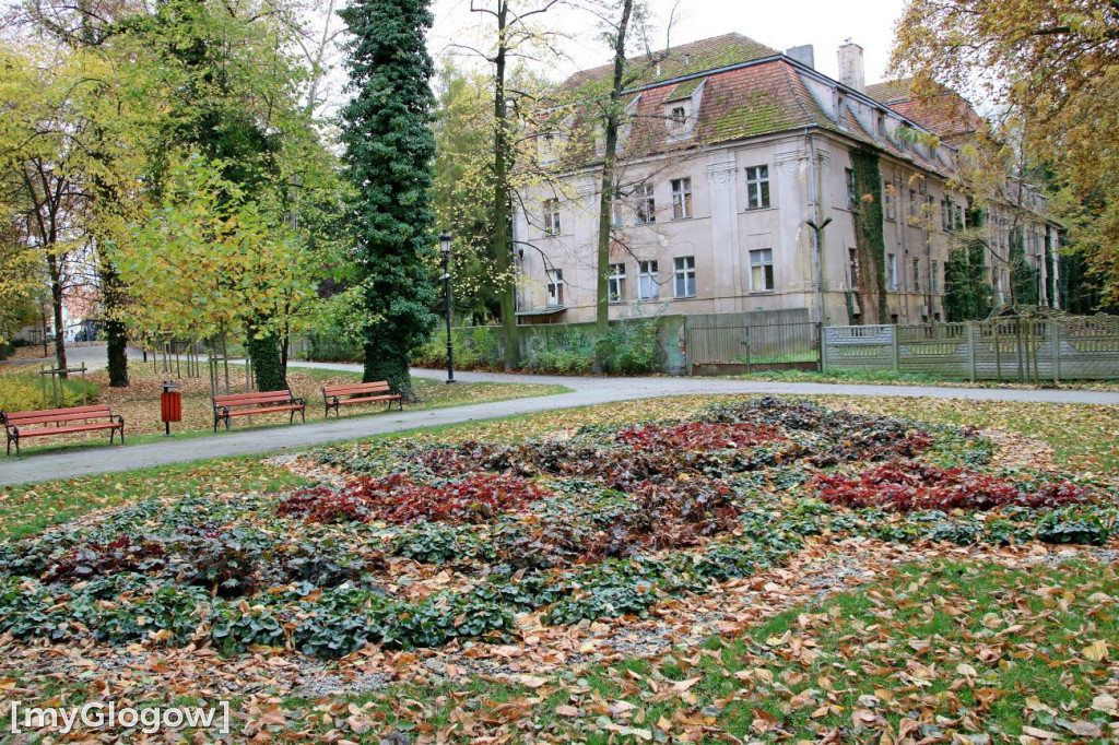 Pięknieje park miejski w Sławie