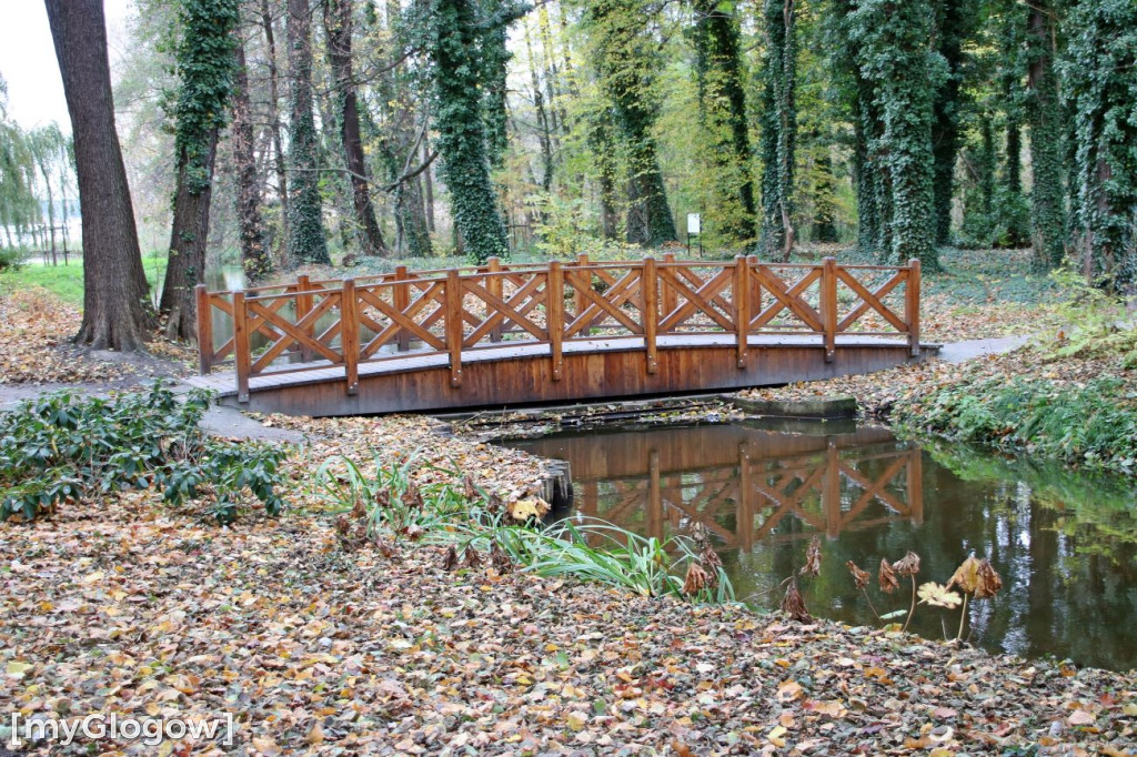 Pięknieje park miejski w Sławie