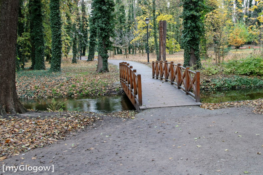 Pięknieje park miejski w Sławie