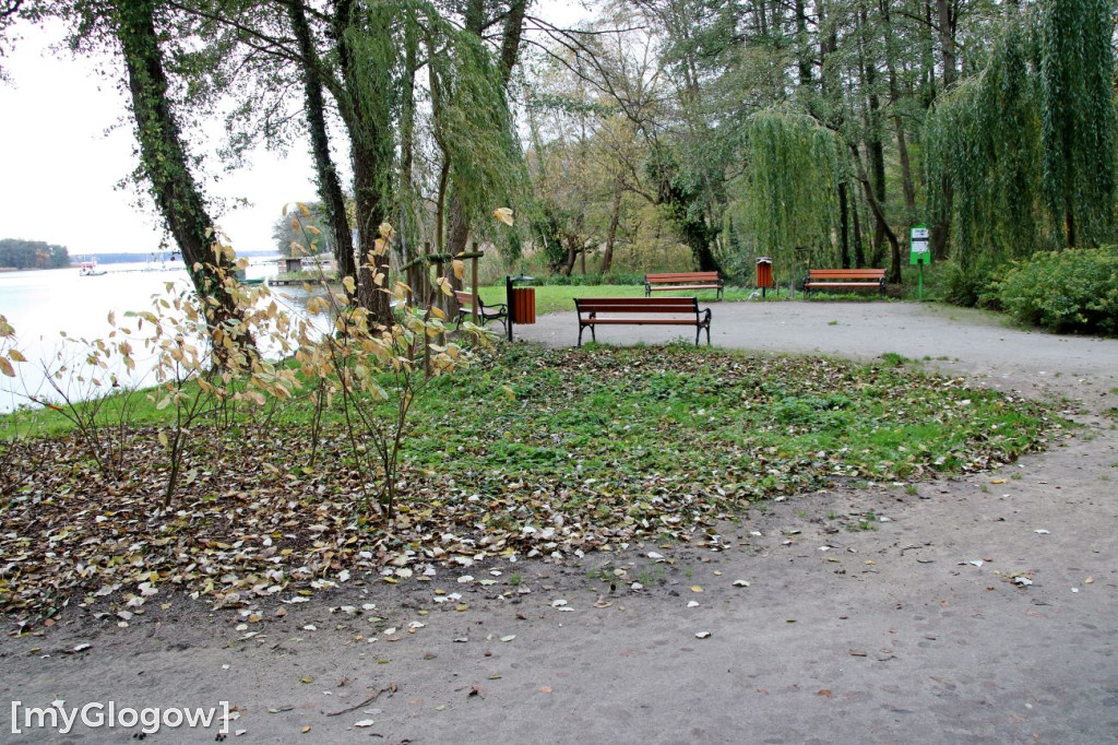Pięknieje park miejski w Sławie