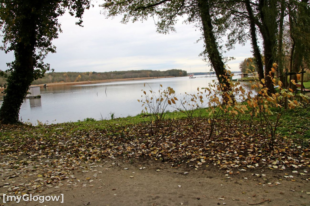 Pięknieje park miejski w Sławie