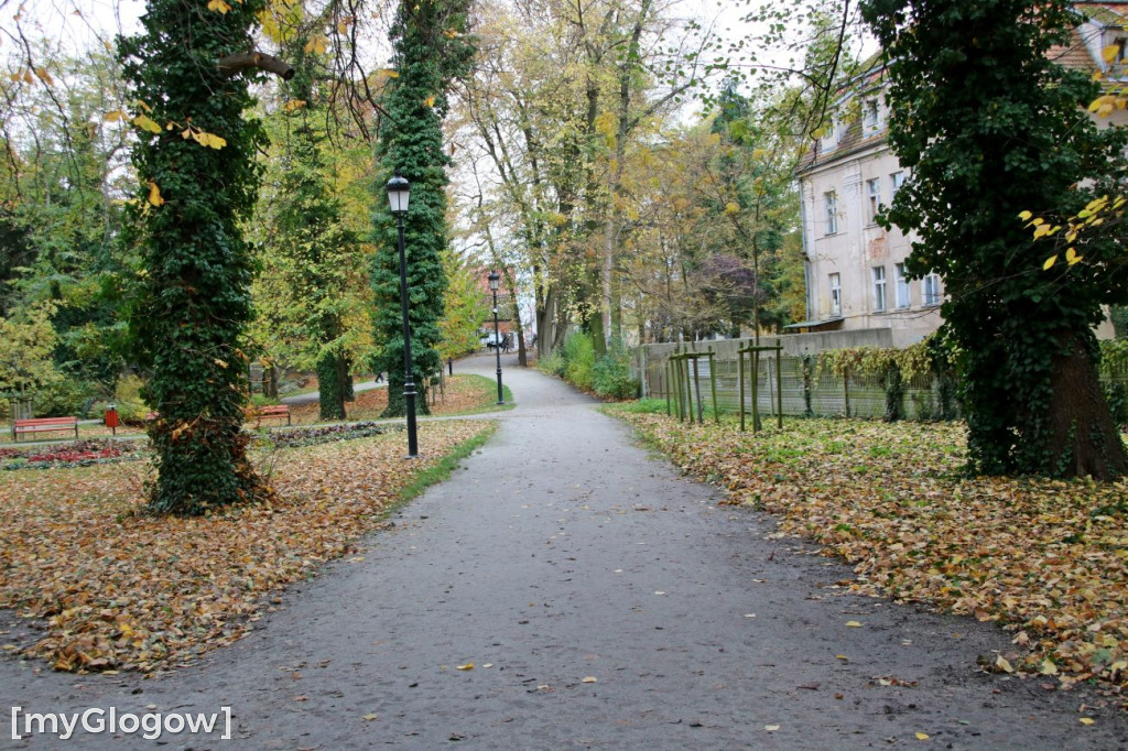 Pięknieje park miejski w Sławie