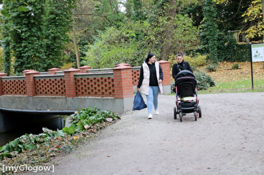 Pięknieje park miejski w Sławie