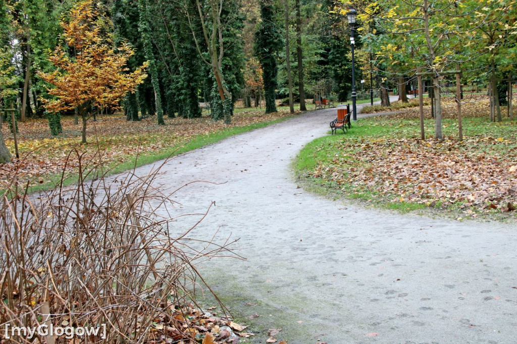 Pięknieje park miejski w Sławie